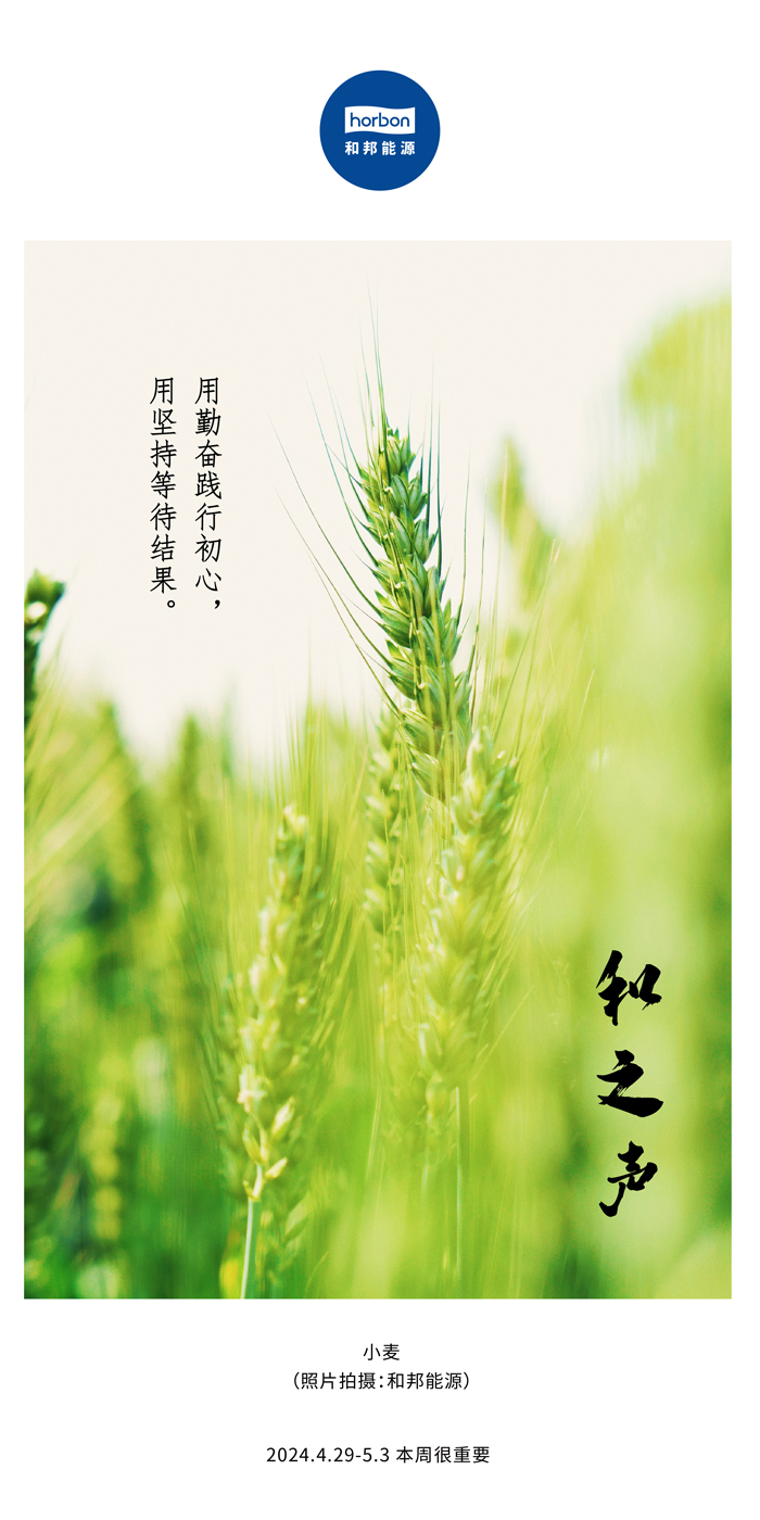 【和之声】用勤奋践行初心，用坚持等待结果。（总第132期）2024.4.29-5中文改小季度推送用.jpg