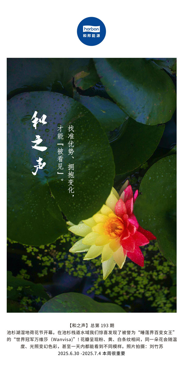 【和之声】找准优势、拥抱变化，才能“被看见”。(总第193期）--2025.6中文导出季度推送用.jpg