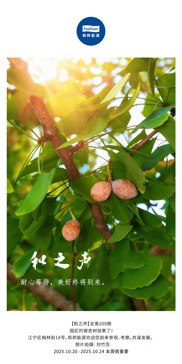 【和之声】耐心等待，美好终将到来。-(总第209期）2025.10.20中文导出季度推送用.jpg